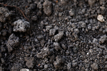 Close-up of dark, rich soil texture, ideal for gardening and farming.