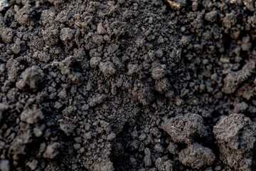 Close-up of dark, rich soil texture, ideal for gardening and farming.