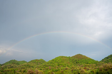 Naklejka premium A vibrant rainbow arches over lush green hills beneath a cloudy sky, creating a serene and uplifting natural landscape after the rain. Ideal for themes of hope, nature, weather, and tranquility.