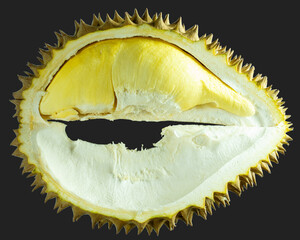 Close-up of a ripe durian fruit cut open to reveal its creamy yellow flesh and spiky outer shell....