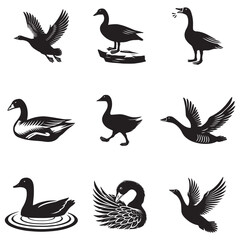 Obraz premium bundle of funny goose silhouette clipart, domestic animal goose art, cute goose design sublimation 