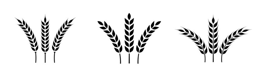 Fototapeta premium Wheat ears icon set. Wheat logo. Grain spikes set icons.Grain icon. Agriculture symbol. vector illustration