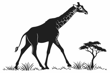 giraffe sihouette black vector