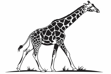giraffe sihouette black vector