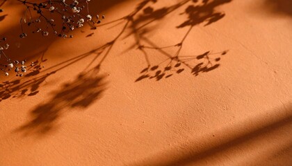 Delicate Shadows of Dried Flowers Cast on a Warm Terracotta Surface During Afternoon Sunlight