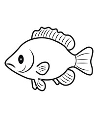 Gourami Fish Vector Line Drawing