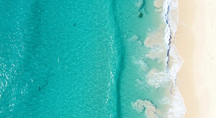 Aerial beach ocean turquoise water sand white waves summer vacation view