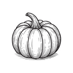 Illustration of a black and white drawing of a pumpkin