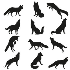 Obraz premium Set of Fox Vector File
