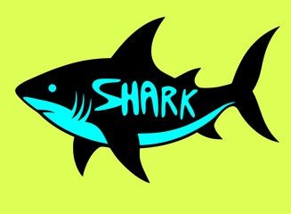 shark vector illustration