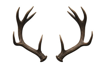 Fototapeta premium Majestic Deer Antlers: Nature's Elegant Ornament on white background