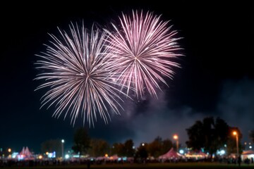 Vibrant fireworks display lighting up the night sky over a crowded festival