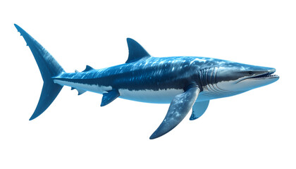 Obraz premium Mosasaurus Illustration: A detailed illustration , showcasing its powerful physique and imposing size against a white background.&nbsp;