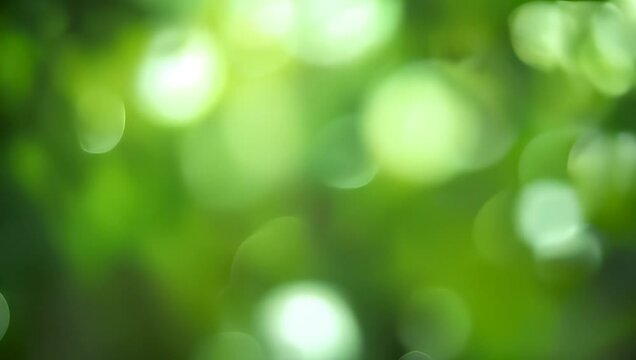Abstract Green Bokeh Lights, nature's beauty background 