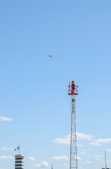 Red lighthouse tower standing tall against a clear blue sky with a seagull flying overhead