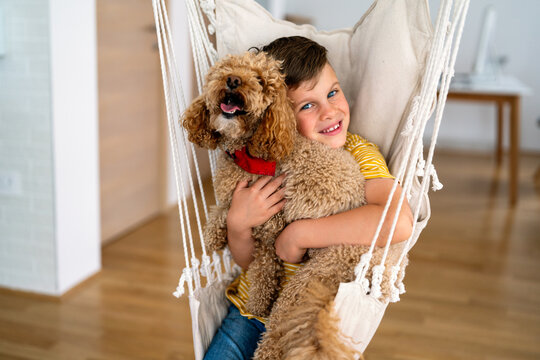 Happy boy hugs his new pet friend, adopted little dog. Human animal friendship. People pet happiness