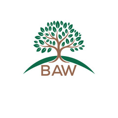 Initial BAW Letter Linked Logo for business and company identity. Modern BAW Letter Logo Vector Template with modern trendy golden logo.
