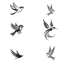 Black and white Birds vector set 