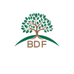 Obraz premium Initial BDF Letter Linked Logo for business and company identity. Modern BDF Letter Logo Vector Template with modern trendy golden logo. 