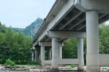 bridge over the river