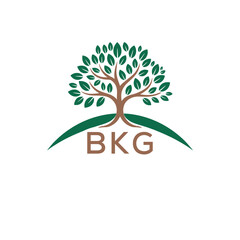 Initial BKG Letter Linked Logo for business and company identity. Modern BKG Letter Logo Vector Template with modern trendy golden logo.
