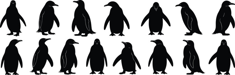 Obraz premium Penguin silhouette collection, walking penguins clipart, black penguin vector art, standing penguin poses, wildlife bird illustration, Antarctic animal graphic, flat penguin design set