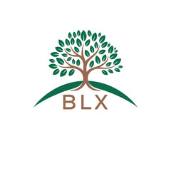 Obraz premium Initial BLX Letter Linked Logo for business and company identity. Modern BLX Letter Logo Vector Template with modern trendy golden logo. 