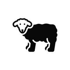 Black solid icon for sheep