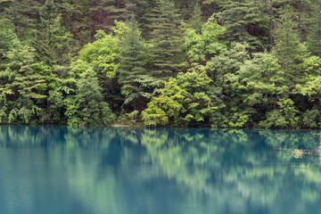 Jiuzhaigou, China: Reflection of the ancient forest in the clear water of the Mirror lake in the Jiuzhaigou scenic area in the mountain of Sichuan in Southwest China