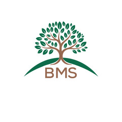 Initial BMS Letter Linked Logo for business and company identity. Modern BMS Letter Logo Vector Template with modern trendy golden logo.
