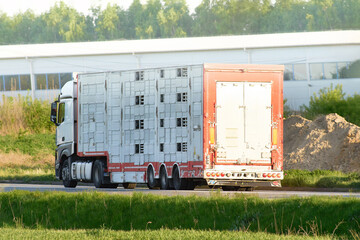 Truck transporting animals through farmland