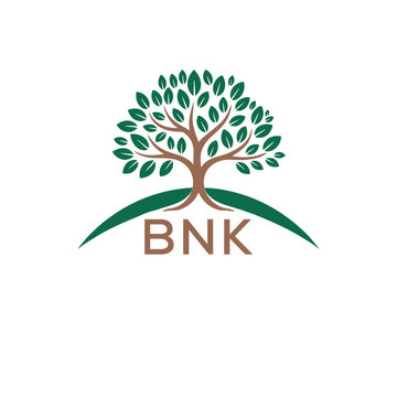 BNK letter, BNK company, BNK business, BNK logotype, BNK corporate, BNK hotel, BNK marketing, BNK luxury, BNK finance, BNK graphic abstract, template, modern, illustration, element, technology, brandi