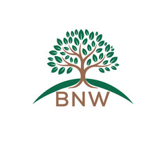 Obraz premium Initial BNW Letter Linked Logo for business and company identity. Modern BNW Letter Logo Vector Template with modern trendy golden logo. 