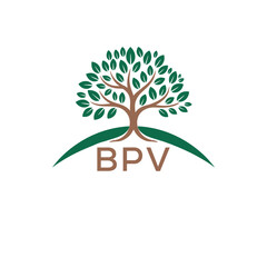 Obraz premium Initial BPV Letter Linked Logo for business and company identity. Modern BPV Letter Logo Vector Template with modern trendy golden logo. 