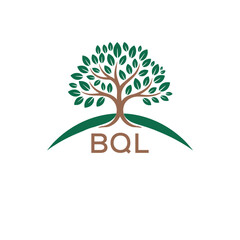 Obraz premium Initial BQL Letter Linked Logo for business and company identity. Modern BQL Letter Logo Vector Template with modern trendy golden logo. 