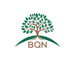 Obraz premium Initial BQN Letter Linked Logo for business and company identity. Modern BQN Letter Logo Vector Template with modern trendy golden logo. 