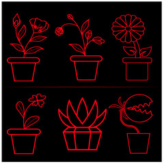 Flower   Vector Set 22