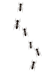 アリの行列のイラスト