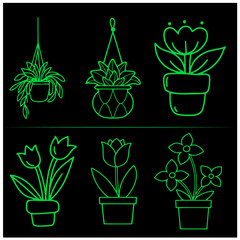 Flower   Vector Set 13