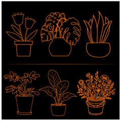 Flower   Vector Set 14