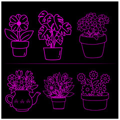 Flower   Vector Set 10