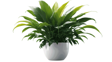 Vibrant Greenery for Home Decor Inspiration