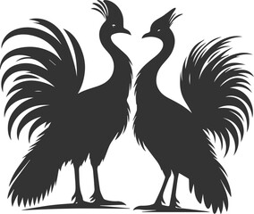 Cassowary vector drawing bird animal silhouette illustration