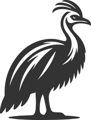 Fototapeta premium Cassowary vector drawing bird animal silhouette illustration