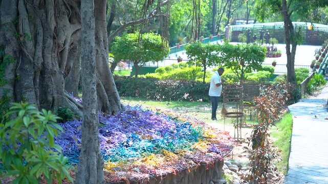 The Man Who Sweeps the Zoo