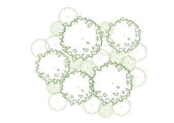 architecture drawing plant tree top view plan greenery vegetation vector. design nature architectural landscape set element illustration bush garden flora sapling minimal. architect isolated.