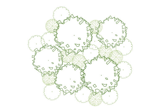 architecture drawing plant tree top view plan greenery vegetation vector. design nature architectural landscape set element illustration bush garden flora sapling minimal. architect isolated.