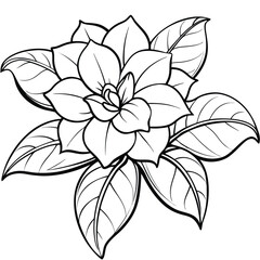 beautiful gardenia flower 