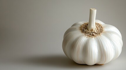garlic with a very nice shape on a white background with copy space on the right side