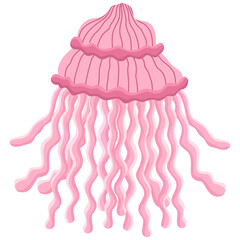 A jellyfish isolated on a transparent background.Vector illustration of a marine animal.